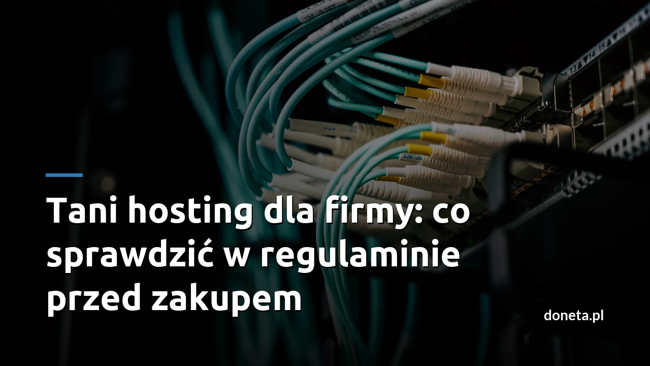 Tani hosting dla firmy: co sprawdzić w regulaminie przed zakupem